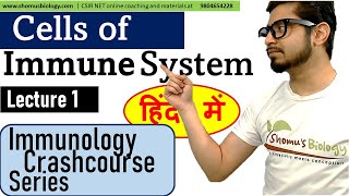 Cells of immune system in Hindi  Immunology lecture 1 [upl. by Enomrej376]