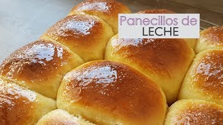 Panecillos de leche dulces  Extra tiernos  Pan tunja [upl. by Kotick936]