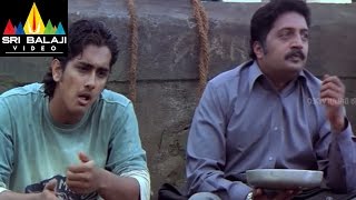 Nuvvostanante Nenoddantana Movie Prakashraj Scene  Siddharth Trisha  Sri Balaji Video [upl. by Andri]