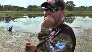 Greg Hackney on Jigs vs Plastics  Pro Team Journal by Strike King [upl. by Nylareg]