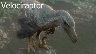 Velociraptor Sound Effects Prehistoric Planet [upl. by Kere649]