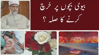 Bivi Bachoo per kharch karne ka sila Doctor tahir ul qadri love like subscribe hindi edit [upl. by Aynekal777]