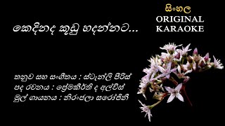 Kedinada Koodu Hadannata  කෙදිනද කූඩු හදන්නටKARAOKE Niranjala SarojiniPremakeerthiStanly Peiris [upl. by Margie]