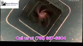 Bone Chimney Sweep amp Repair [upl. by Forcier]