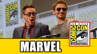 MARVELS Avengers Age of Ultron amp AntMan Comic Con Panel [upl. by Zak]