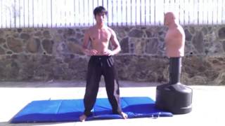 Wing Chun JKD TKD Boxing Tai Chi and Capoeira Mixed Striking Training [upl. by Ayotnahs261]