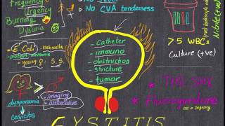 Cystitis Review in 4 minutes All you need to know [upl. by Minerva]