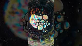 The Physics of Rainbows Light Refraction amp Optical Wonders RainbowScience Refraction Rainbows [upl. by Rayshell]