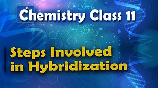 Steps Involved in Hybridization  Nature of Chemical Bond  Chemistry Class 11 [upl. by Chew413]