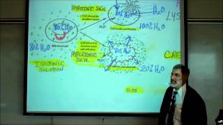 DIFFUSION OSMOSIS amp ACTIVE XPORT ACROSS CELL MEMBRANES by Professor Fink [upl. by Ollecram639]