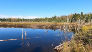 Portage  Pipe Lake to East Pipe Lake in the BWCA [upl. by Kerrin]