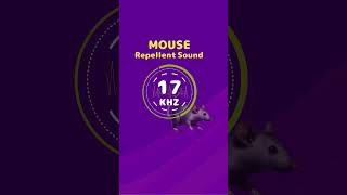 Mouse amp Rat Repellent Noise Highfrequency sounds [upl. by Dempster]