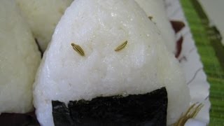 Onigiri [upl. by Ettevram]