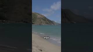 Best Caribbean Islands Saint Kitts and Nevis [upl. by Noimad]