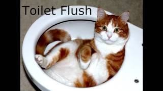 Toilet Flush Sound [upl. by Maag207]