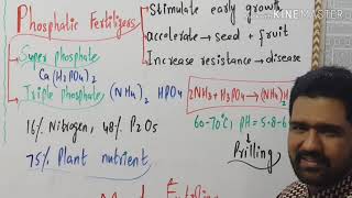 SSP vs DAPsingle super phosphate and diammonium phosphate fertilizer [upl. by Bronwyn843]