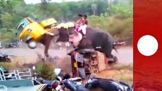 Elephant goes on rampage flipping 27 vehicles India [upl. by Benco725]