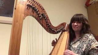 Little April Showers  Bambi Harp Cover [upl. by Oeflein801]