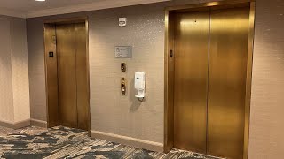 Otis Gen2 Elevators  Marriott Cleveland East  Warrensville Heights OH [upl. by Coffeng]