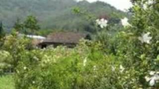 Bukit Berbunga  Uci Bing Slametmp4 [upl. by Chesnut951]