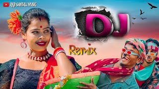 Badam Herel Santali Video Dj  Santhali Dj Song 2024  Dj Rk Bhai Birbhum [upl. by Ainahpets690]