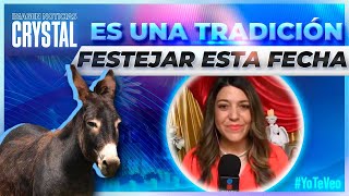 Hoy se celebra el Día de las Mulas en México  Noticias con Crystal Mendivil [upl. by Ahsain]