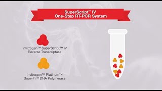 1step vs 2step RTPCR—which one is right for your application [upl. by Nalehp497]