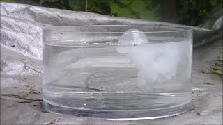 Alkaline Earth Metals In Water  Interesting Chemical Reaction  SCIENCE [upl. by Aala]