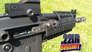 Exterminating carpenter bees with KelTec PLR 22 [upl. by Neirrad]