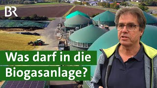 Deckel drauf Weniger Mais für die Biogasanlage  Erneuerbare Energien  Unser Land  BR [upl. by Jean]