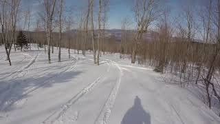 Skiing the Lower part of Burnt Mountain Cat Skiing February 2019 [upl. by Gomez]