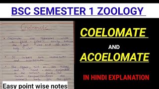 COELOMATE AND ACOELOMATE ZOOLOGY NOTESBsc 1st semester major zoology zoologynotes bbmku vbu ru [upl. by Redd]