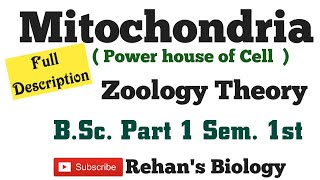 Mitochondria structure amp function Rehans Biology कोशिका का शक्तिगृह BSc1 Sem1st Zoology [upl. by Ho]