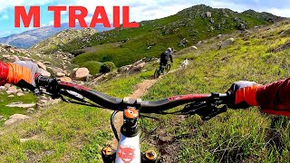 Amazing bike trails Box Springs M trail bike mtb [upl. by Barden]