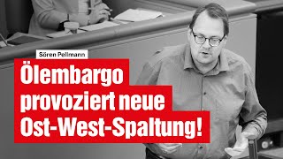 ÖlEmbargo provoziert neue OstWestSpaltung [upl. by Aicats326]