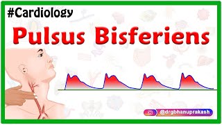 Pulsus bisferiens  USMLE  Cardiology [upl. by Adierf]