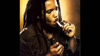 Stephen Marley  Pale Moonlight How many Times [upl. by Airbas]