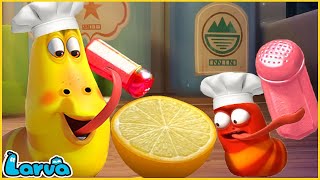 LARVA SEASON 2 EPISODE Chef  COMICS  MINI SERIES FROM ANIMATION [upl. by Yhtommit]