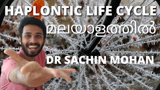 haplontic life cycle  malayalam  plant kingdom  class 11  plus one [upl. by Retsof936]