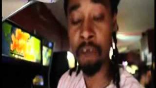 Danny Brown  The Hybrid Video [upl. by Britni287]