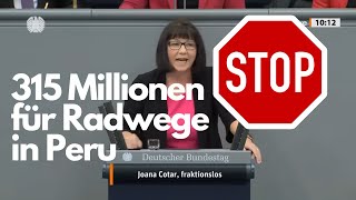 Steuerverschwendung Deutschland Fraktionslose Joana Cotar bringt es auf den Punkt [upl. by Ettezzil461]