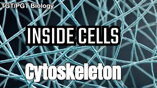 Cytoskeleton Structure and Function  Microtubules  Microfilaments  Intermediate Filaments [upl. by Brenna]