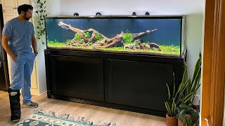 XXL NATURE AQUARIUM BUILD  FULL STEP BY STEP [upl. by Nared]