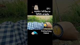 fishing fish carpfishing thailand carp คนร้อยเอ็ด food ชอบตกปลา ชิงหลิว [upl. by Devehcoy]