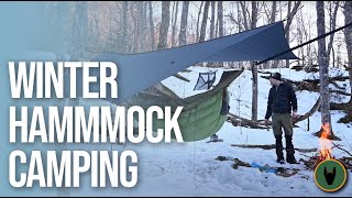 Hammock Camping With a Dog in Winter [upl. by Levania82]