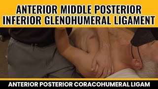 Anterior Middle Posterior Inferior Glenohumeral ligament Anterior Posterior Coracohumeral Ligam [upl. by Ardnohs]