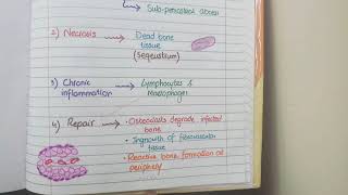 Acute Osteomyelitis And Chronic Osteomyelitis  Pathology [upl. by Ardnekat]