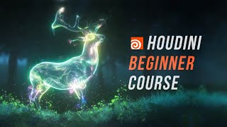 Intro To Houdini for VFX  Beginner Course [upl. by Ami153]