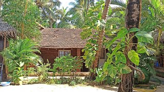 Agonda Beach Huts  Goa  Outside View  Constantina Beach Huts Agonda Goa [upl. by Baptist]