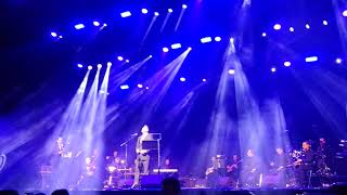 وائل كفوري ولاد الحرام  حفلة لندن ٢٠١٩  wael kfoury London concert 2019 [upl. by Nosdivad]